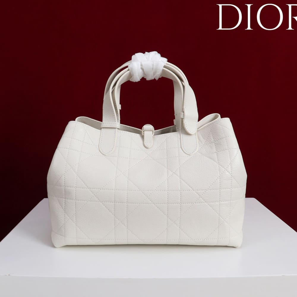 Medium D10r Toujours Bag