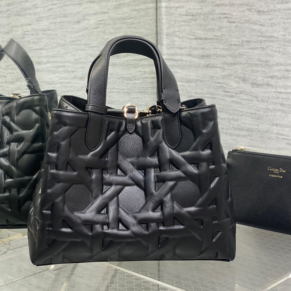 Medium D10r Toujours Bag