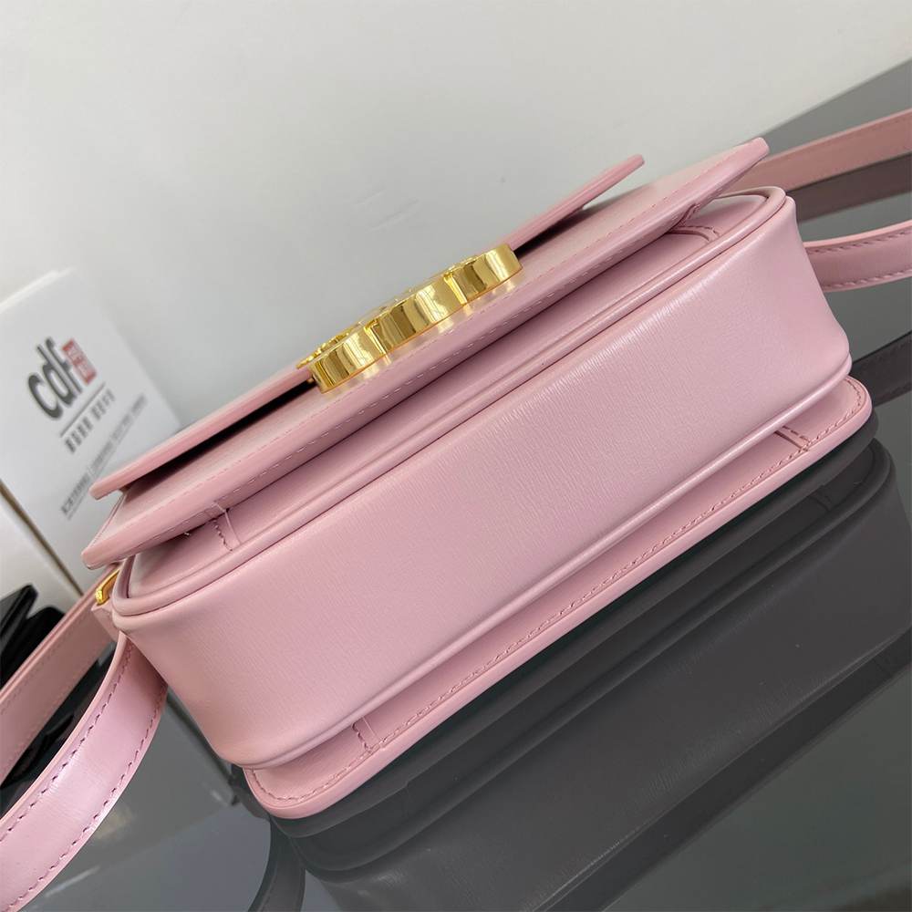 Ce1i*e TEEN TRIOMPHE BAG IN shiny calfskin(HIGH-END GRADE)