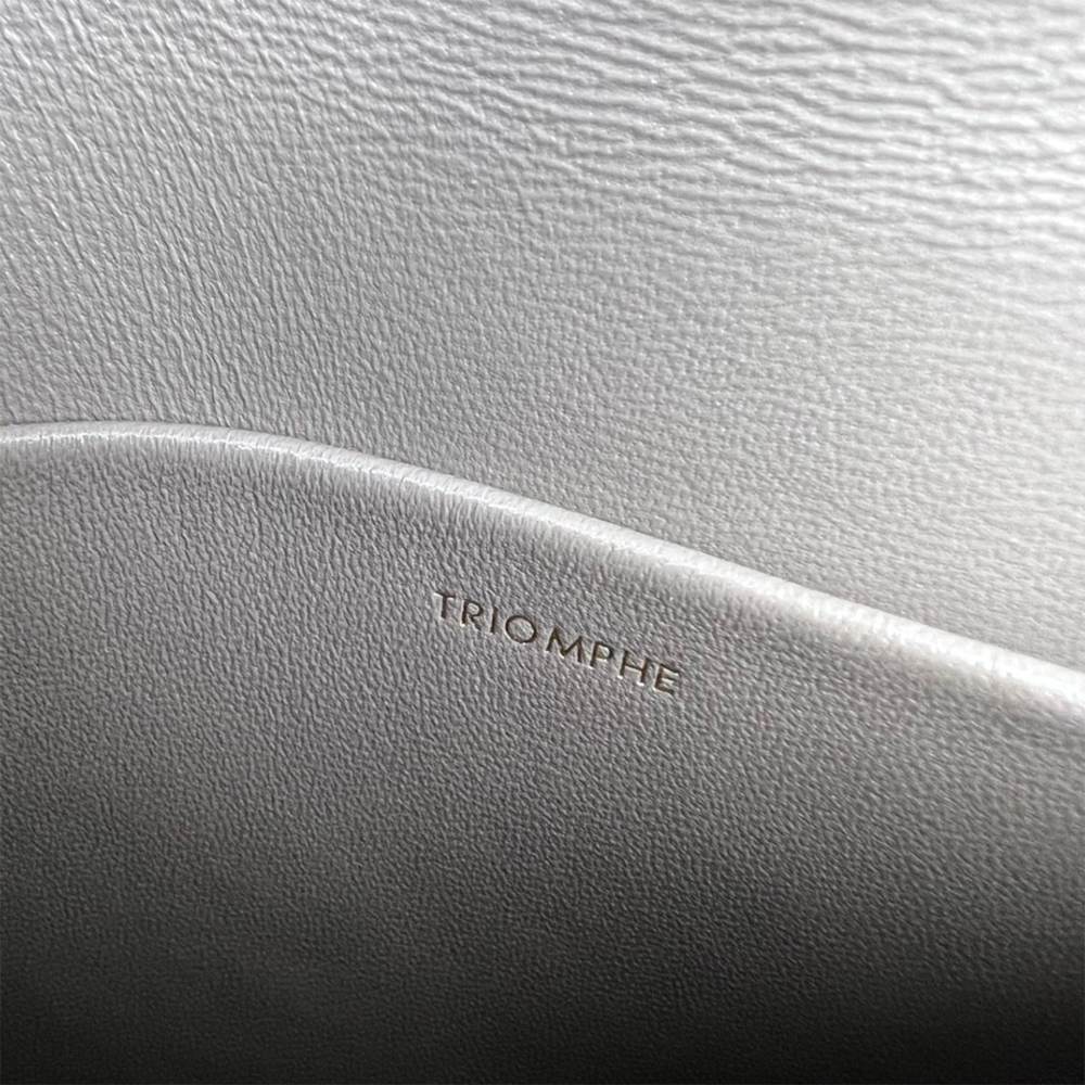 Ce1i*e TEEN TRIOMPHE BAG IN shiny calfskin(HIGH-END GRADE)