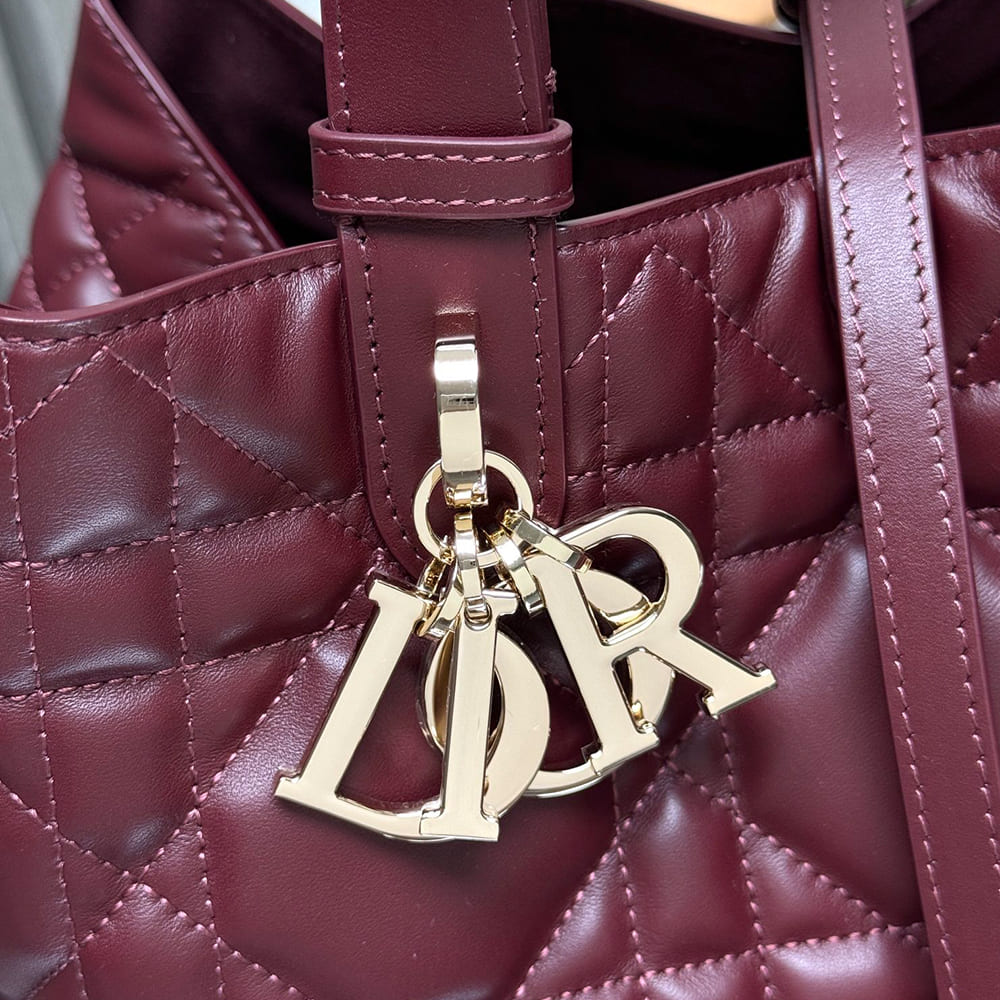 Medium D10r Toujours Bag