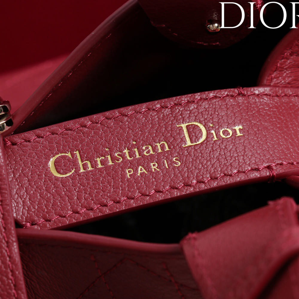 Medium D10r Toujours Bag