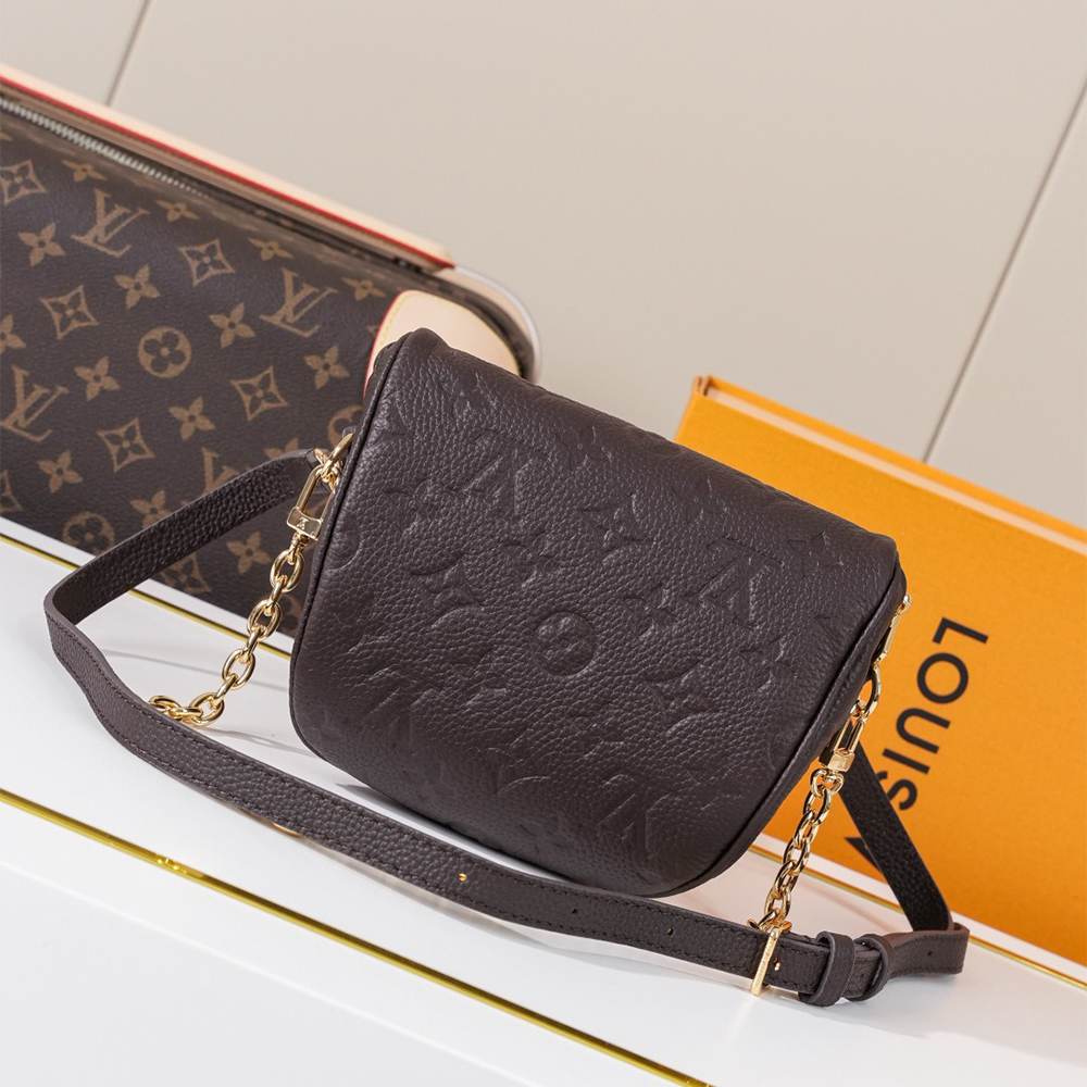 LV Mini Bumbag