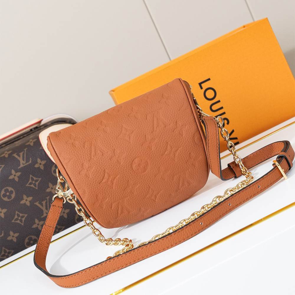 LV Mini Bumbag
