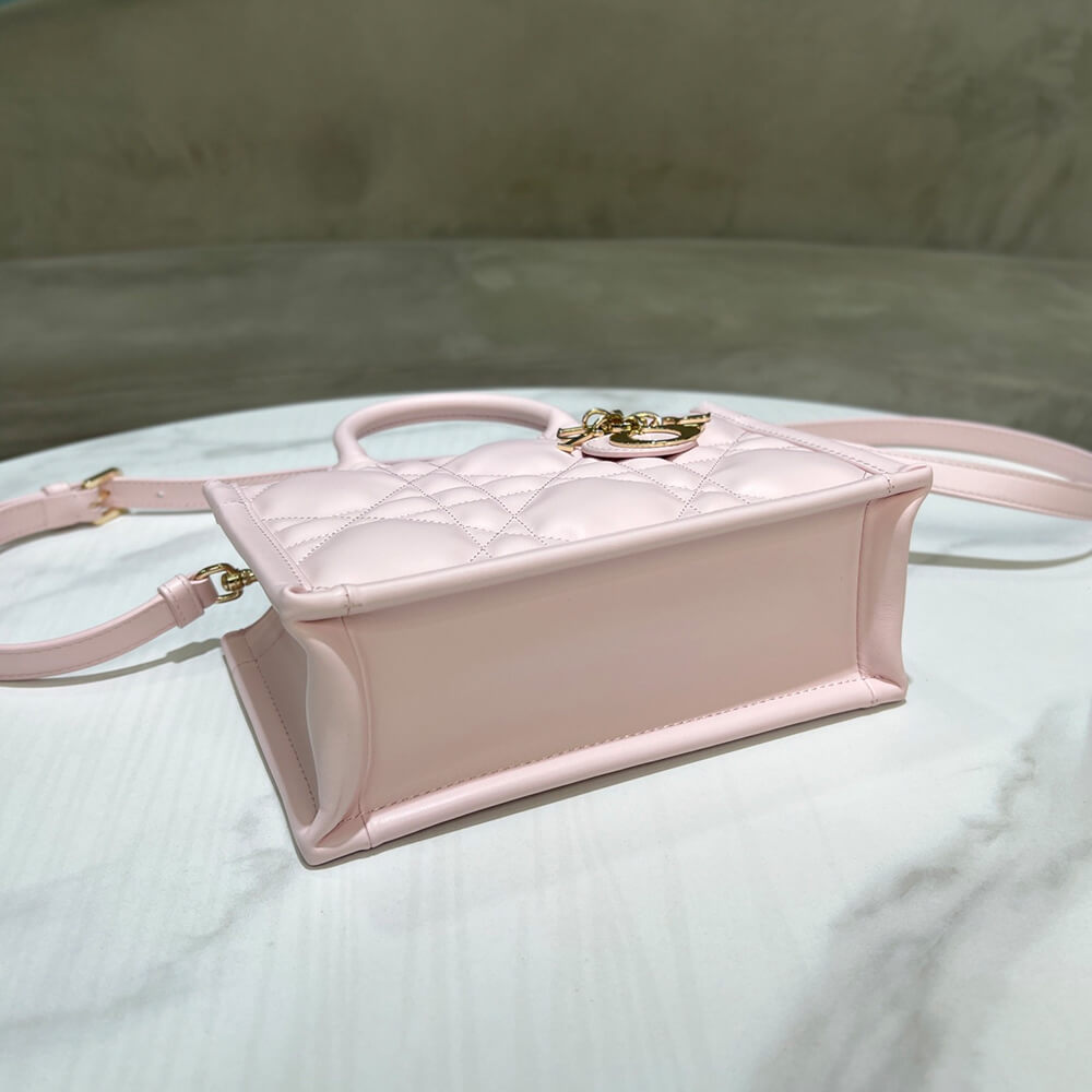 D10r Mini D10r Book Tote