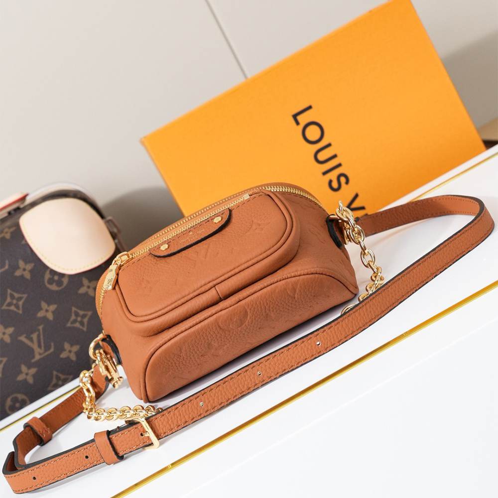 LV Mini Bumbag