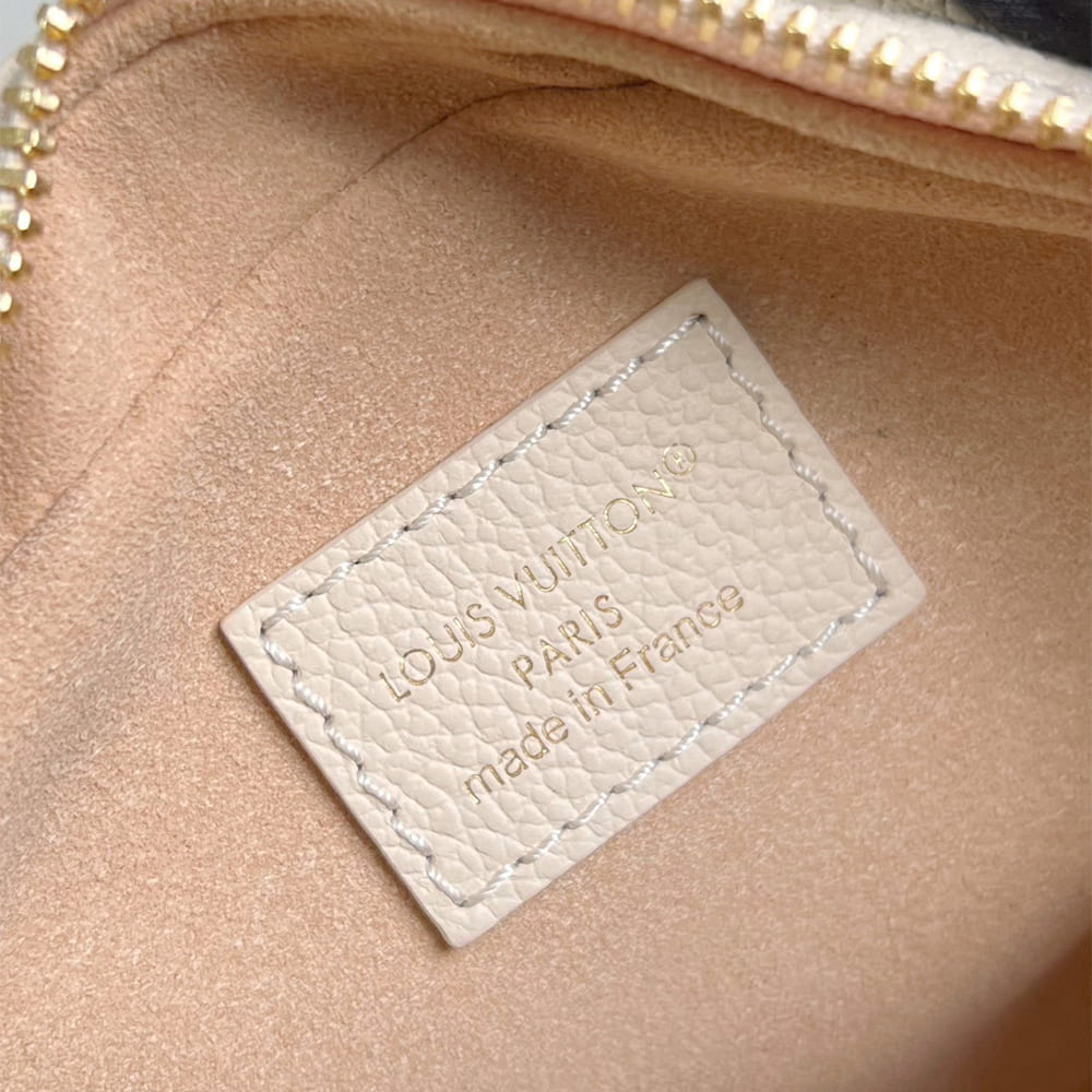 LV Tiny Camera Bag