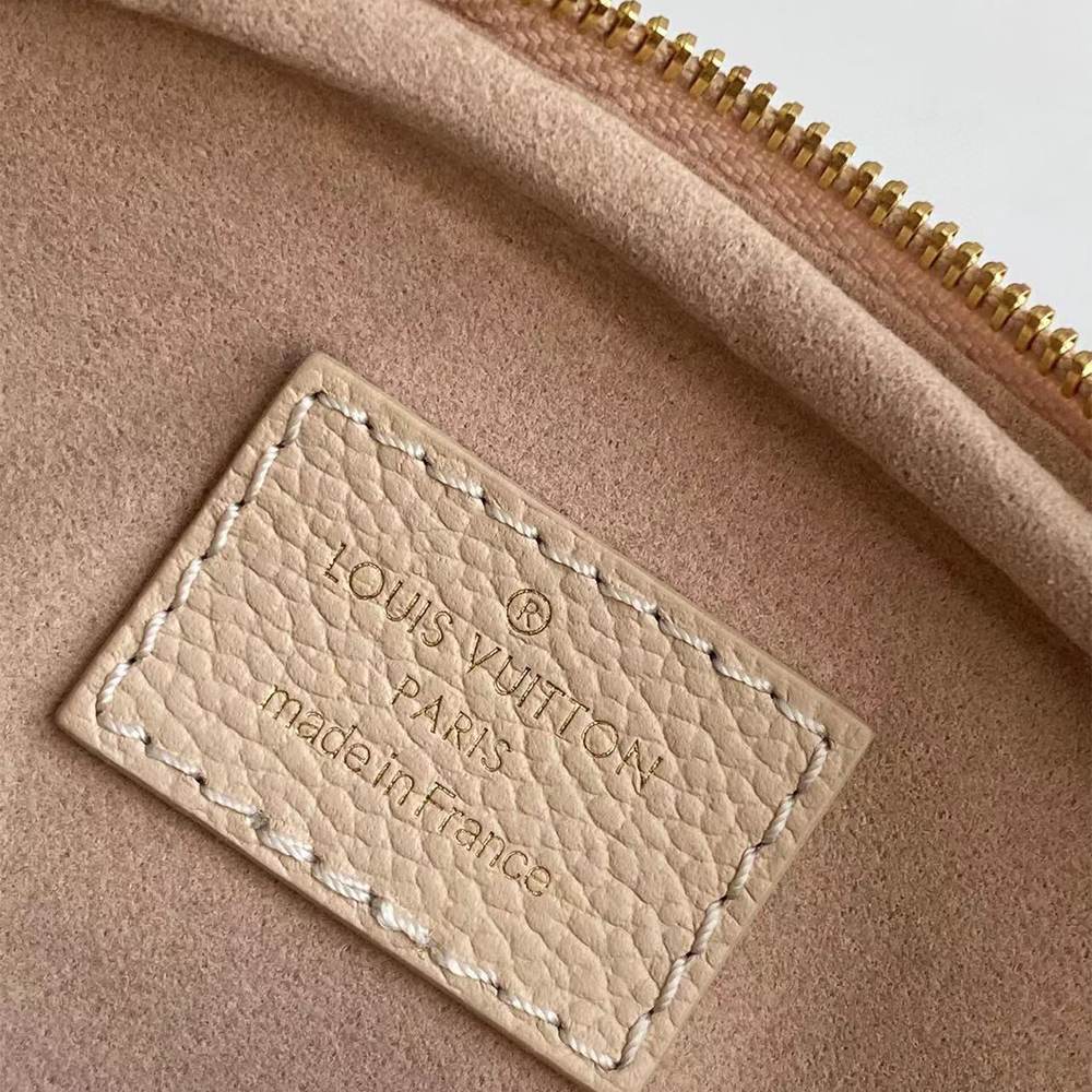 LV Mini Bumbag