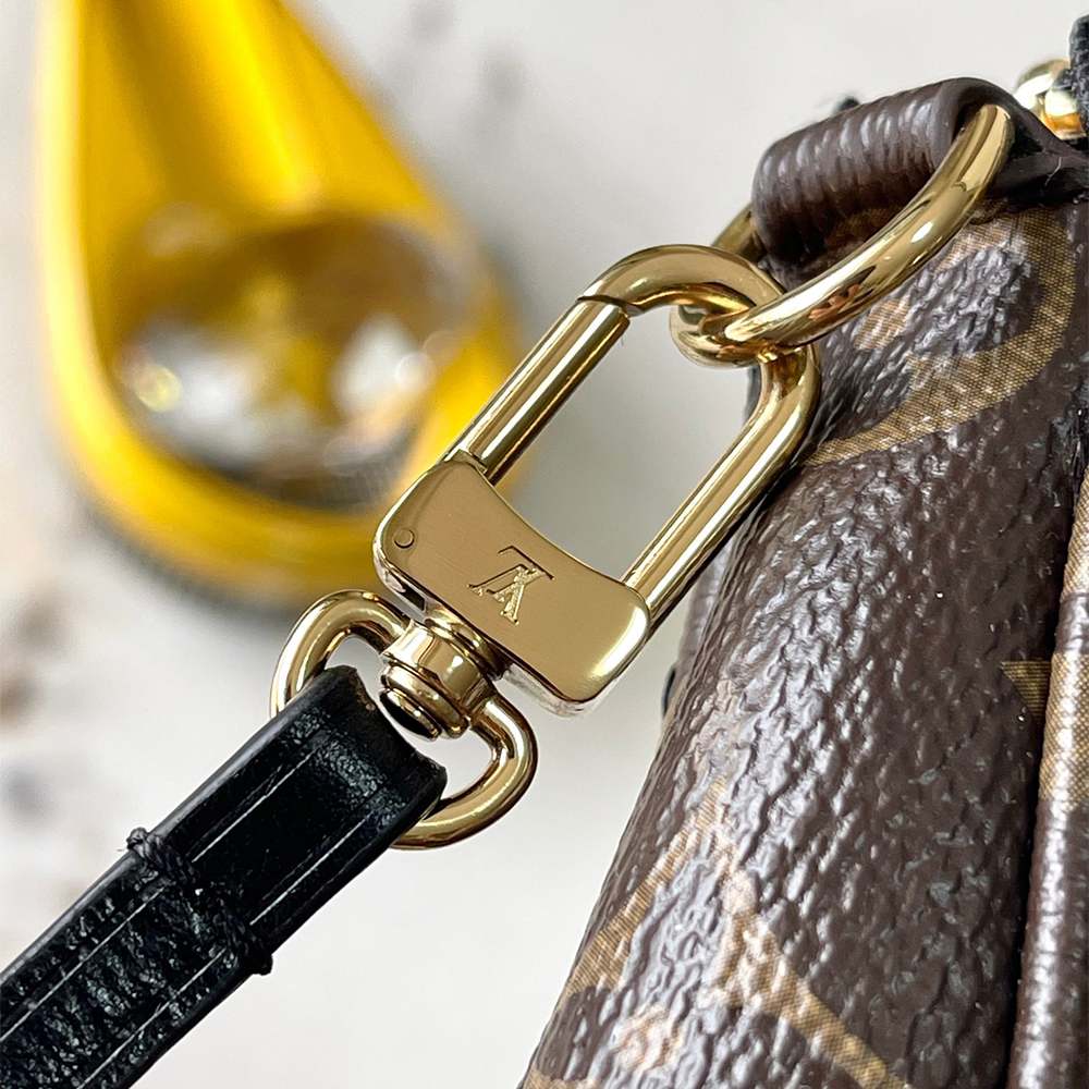 LV Pochette Accessoires