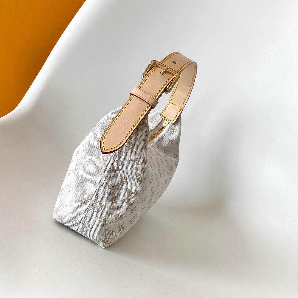 LV Hills Pochette
