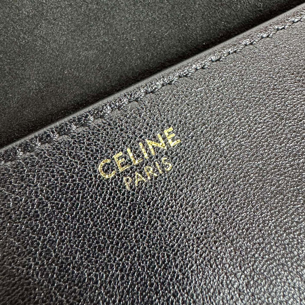 Ce1i*e SOFT TRIOMPHE BESACE IN S*pPLE SHINY LAMBSKIN(HIGH-END GRADE)