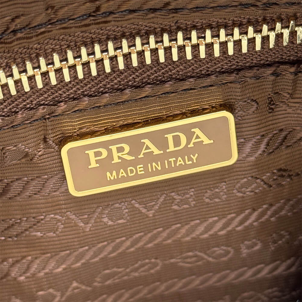 Pra*a Re-Edition 2005 Re-Nylon and Saffiano mini bag