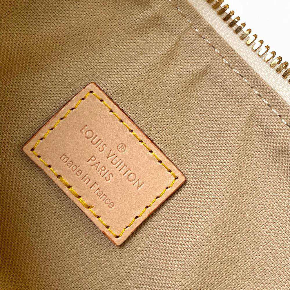 LV Hills Pochette