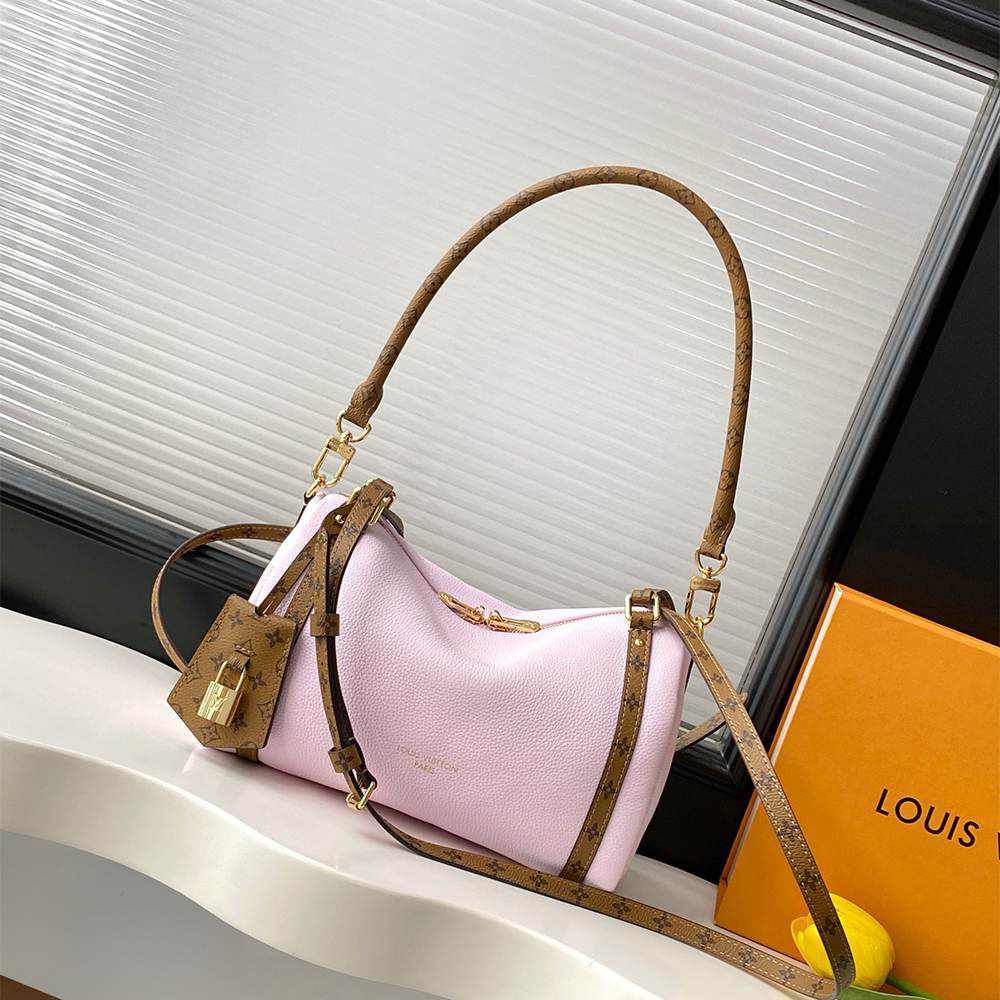 LV Express PM