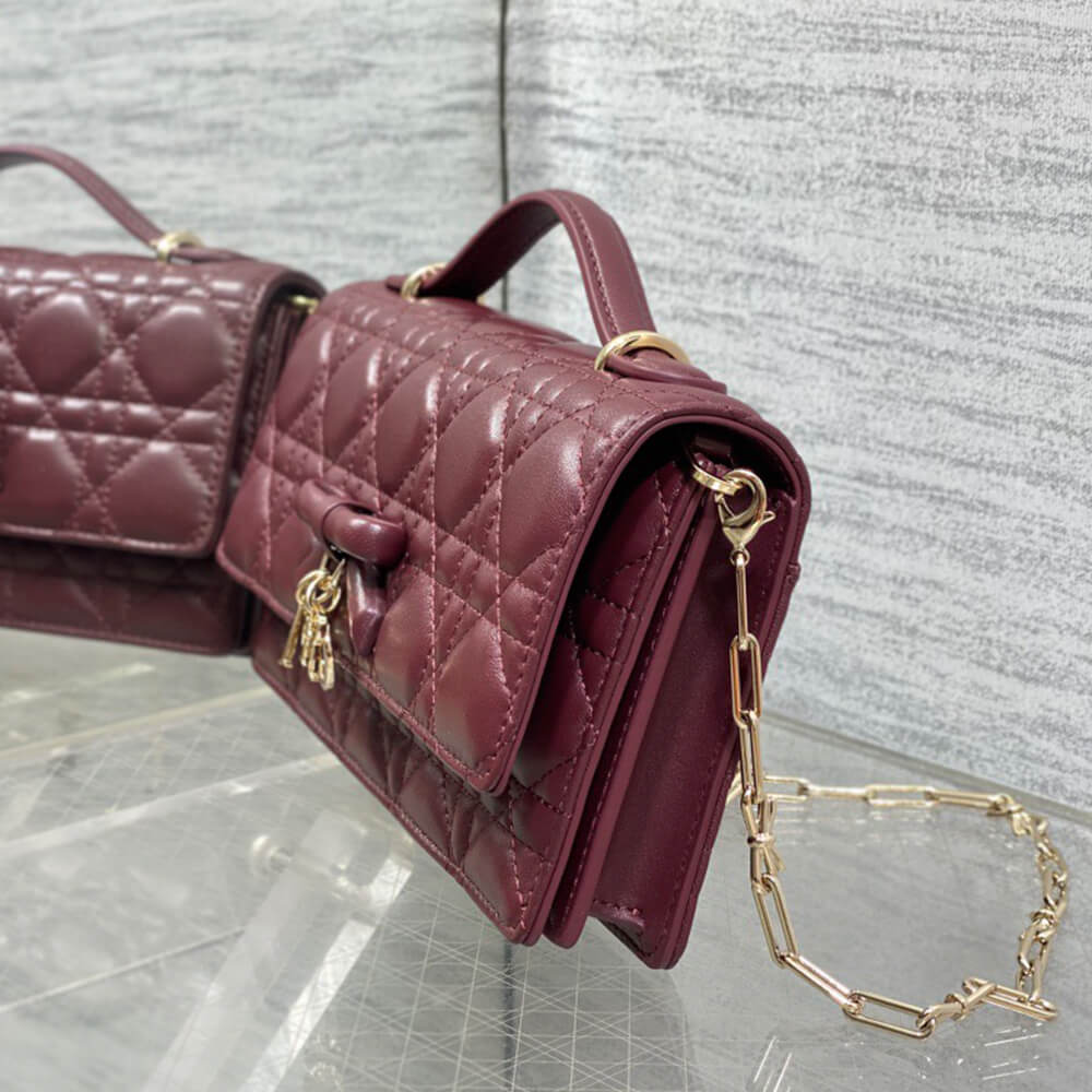 My D10r Mini Bag(HIGH-END GRADE)