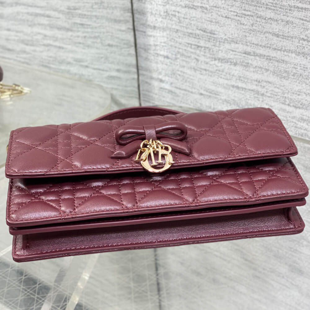 My D10r Mini Bag(HIGH-END GRADE)