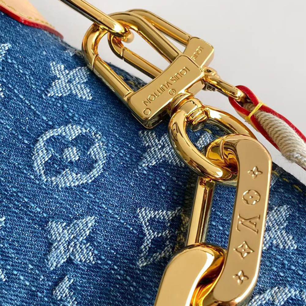 LV Coussin Hobo MM(HIGH-END GRADE)