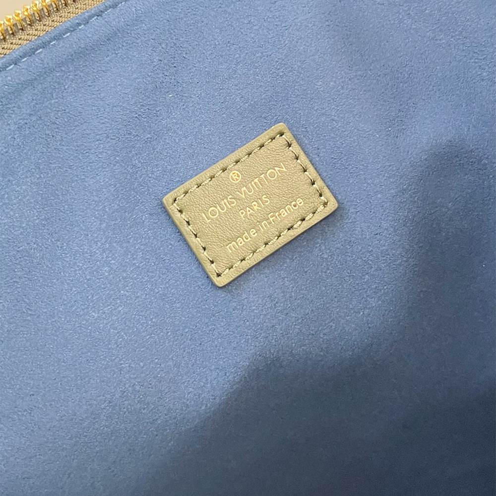LV Coussin Hobo MM(HIGH-END GRADE)