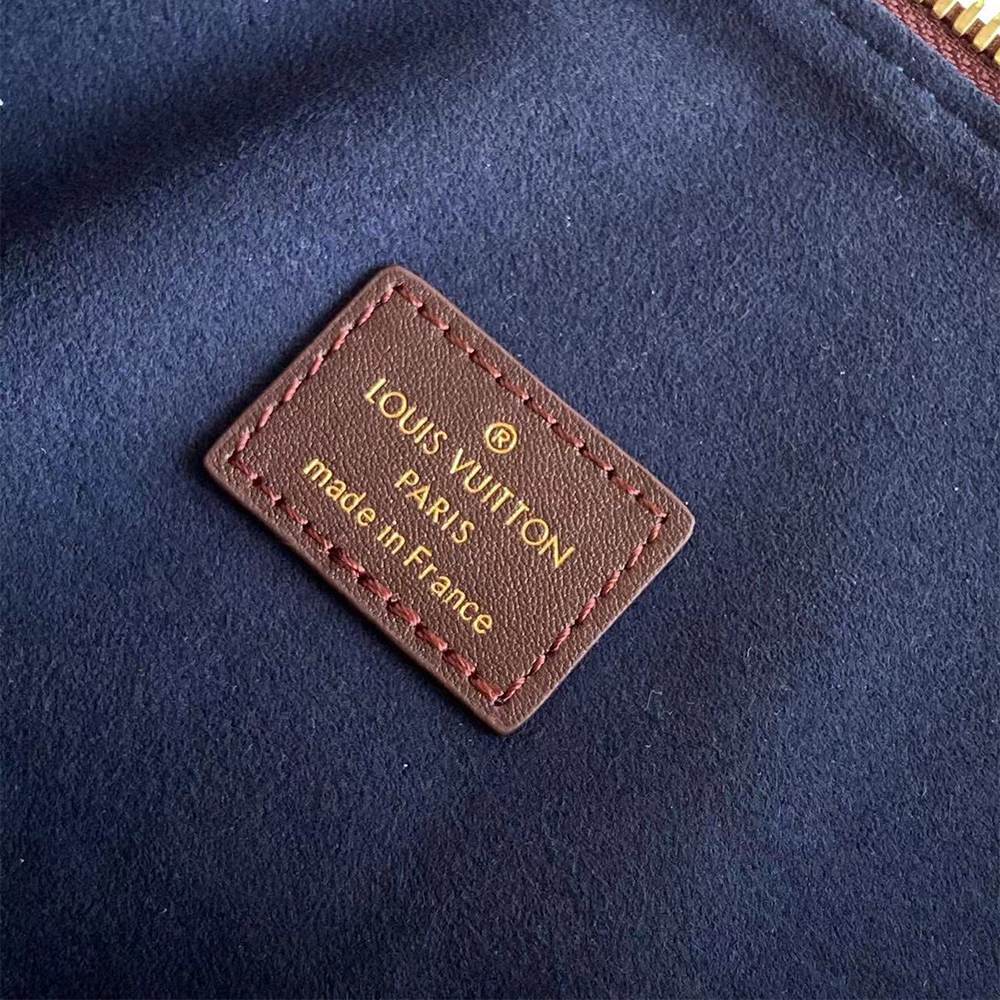 LV Coussin Hobo MM(HIGH-END GRADE)