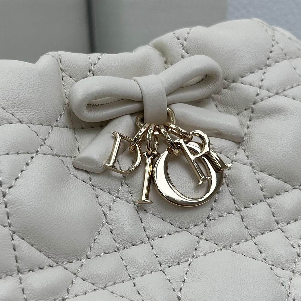 D10r AD10rable Mini Bucket Bag