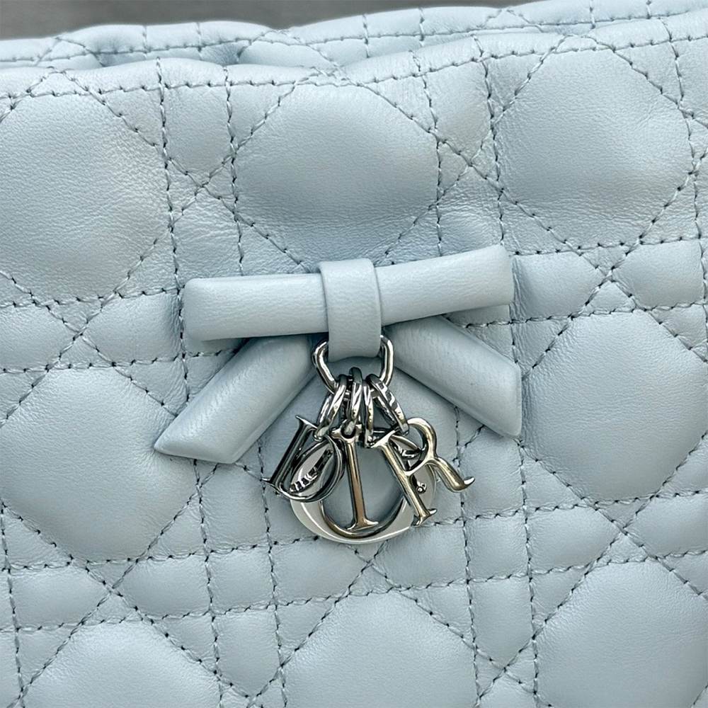D10r AD10rable Mini Bucket Bag