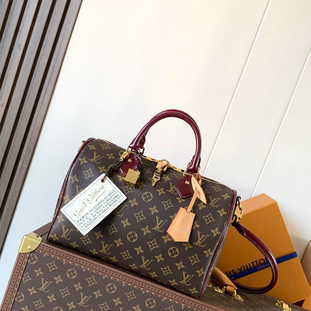 LV Speedy 30 Soft Celebration