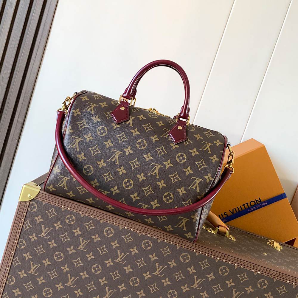 LV Speedy 30 Soft Celebration