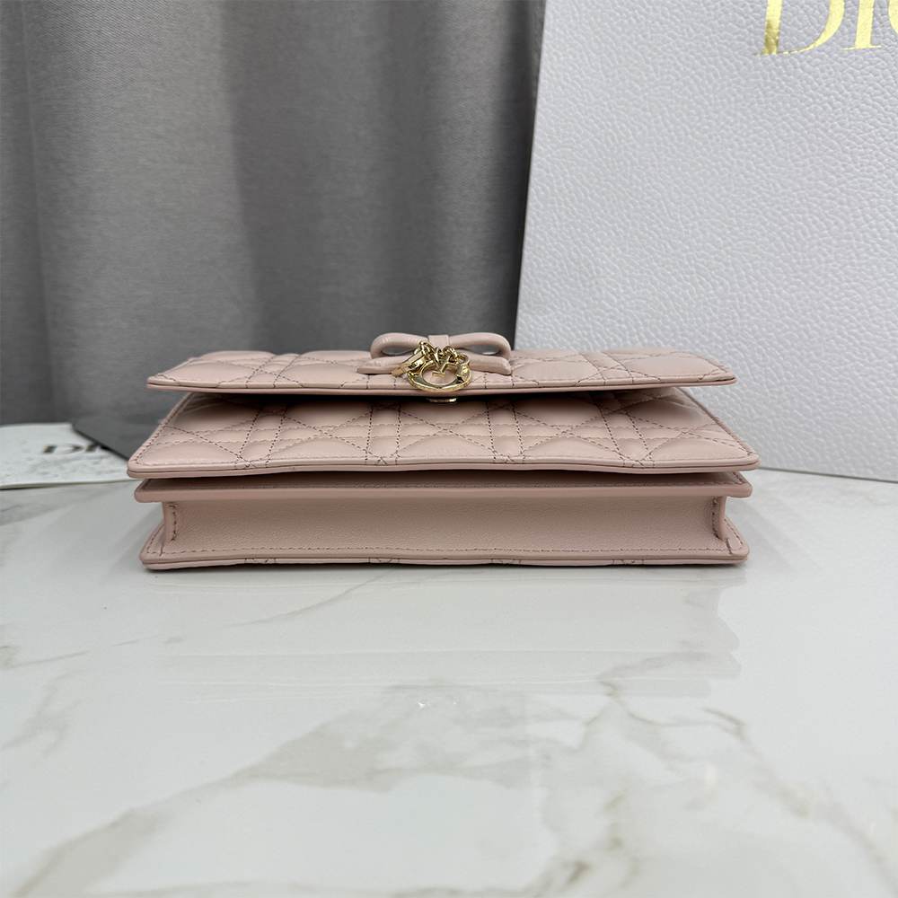 My D10r Mini Bag