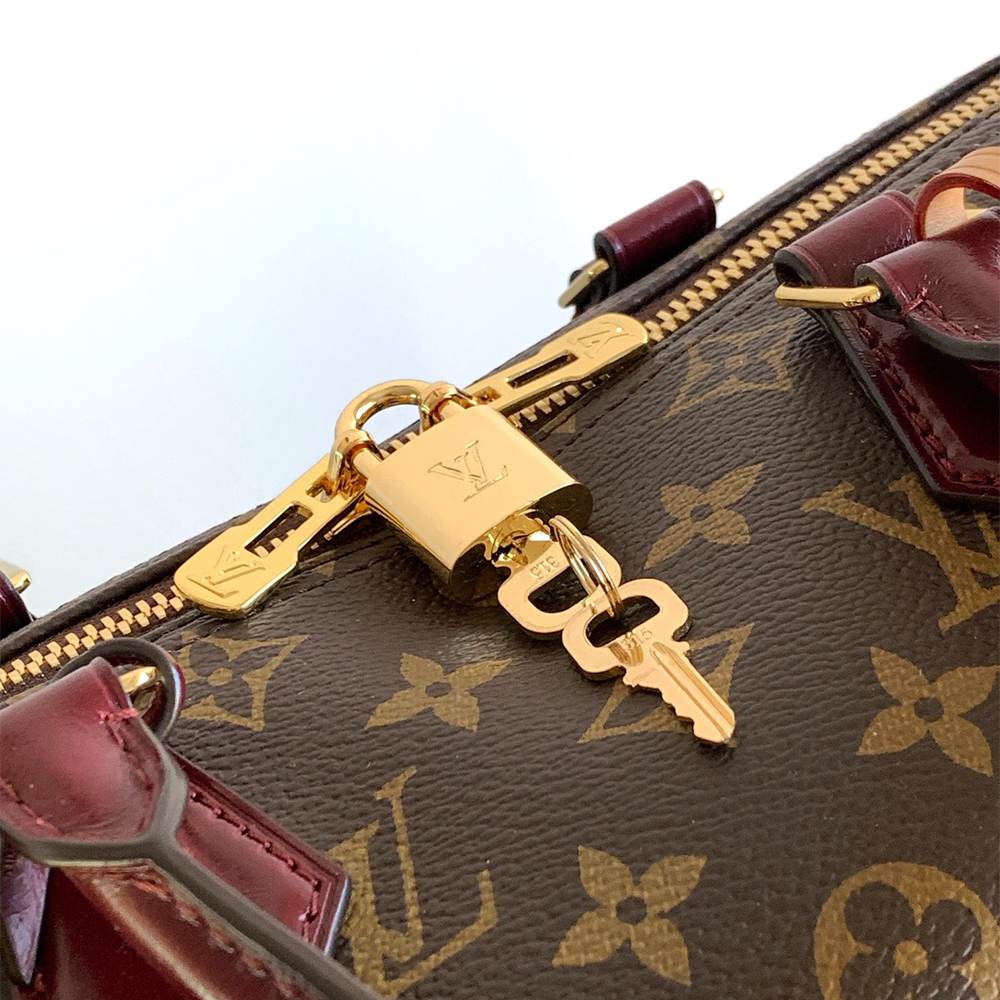 LV Speedy 30 Soft Celebration