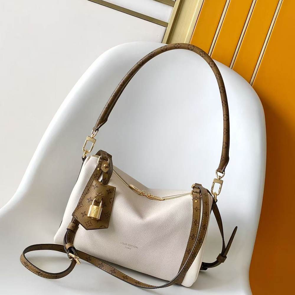LV Express PM