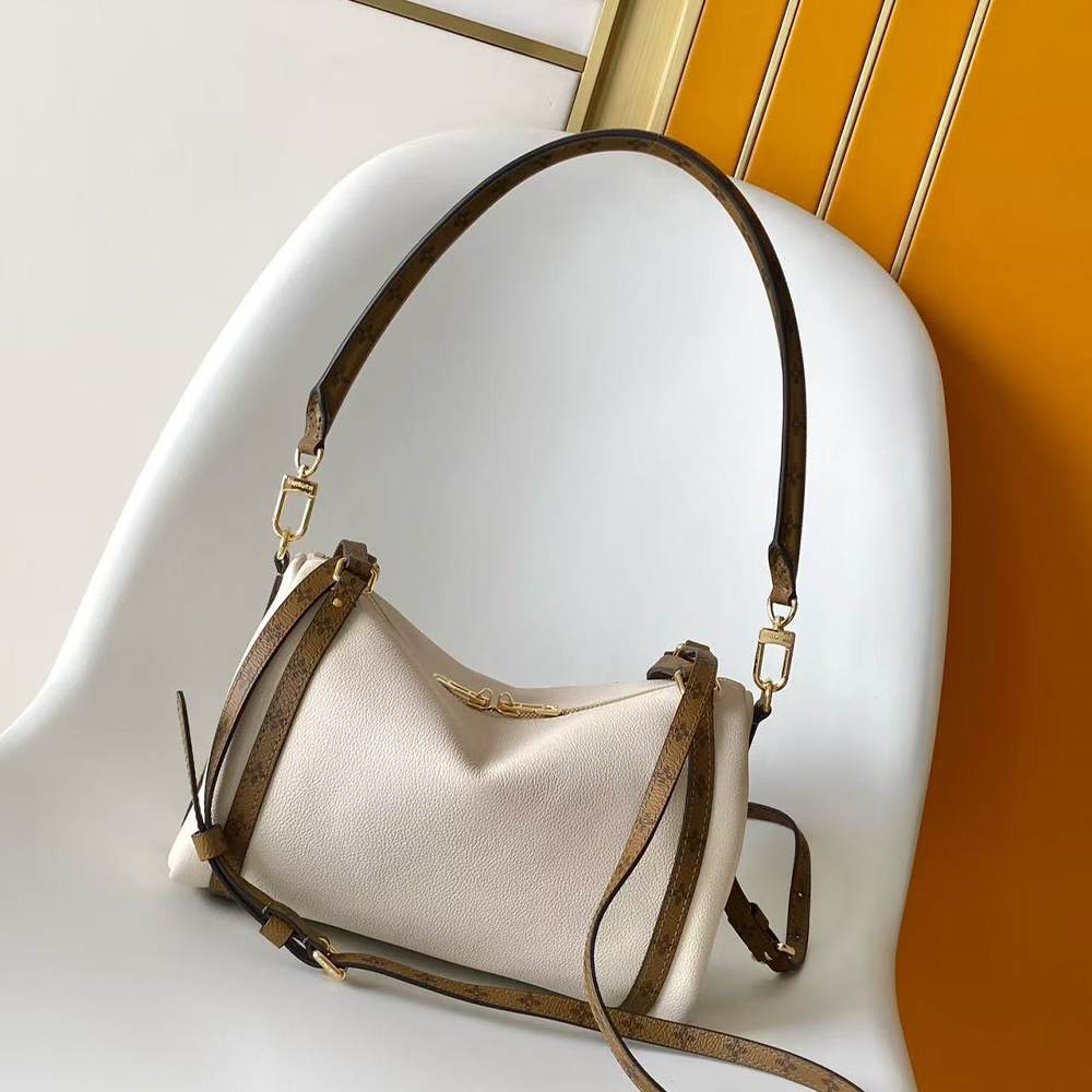 LV Express PM